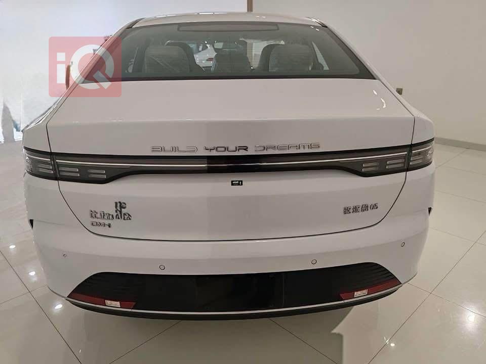 بي واي دي ديستروير 05